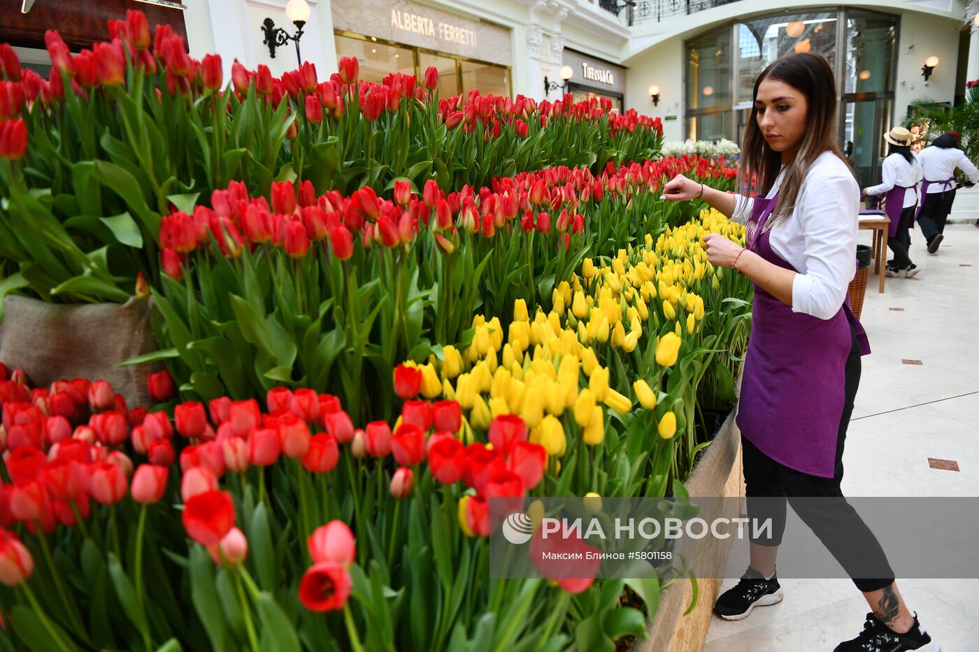 Цветочный базар в Петровском пассаже