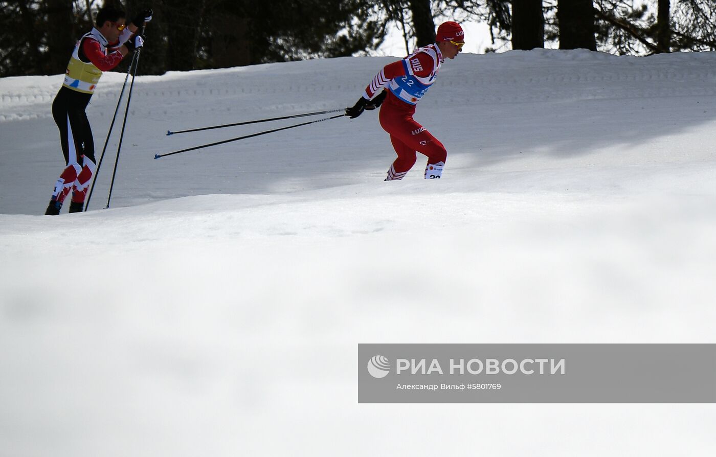 Лыжные гонки. Чемпионат мира. Мужчины. Масс-старт