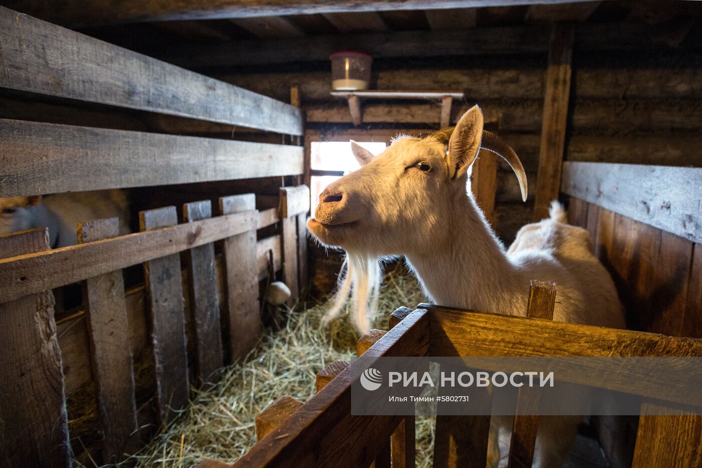 Мужской монастырь "Свято-Ильинская Водлозерская Пустынь