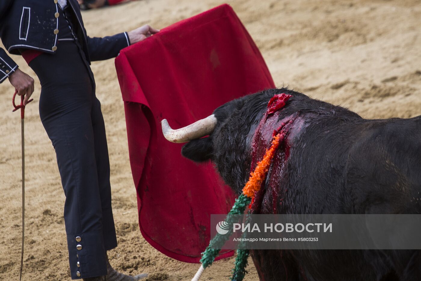 Карнавал быков в Испании