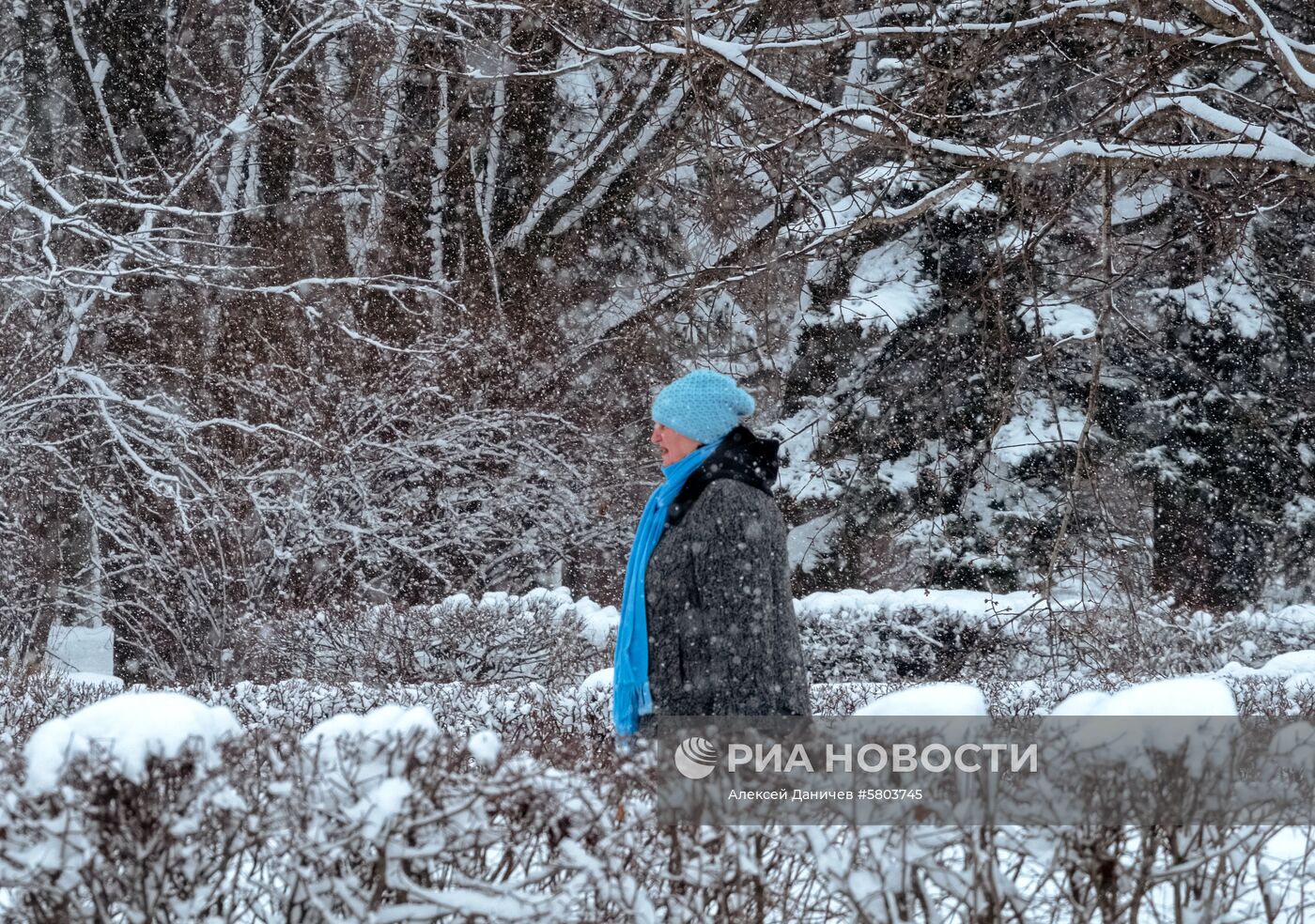 Снегопад в Санкт-Петербурге