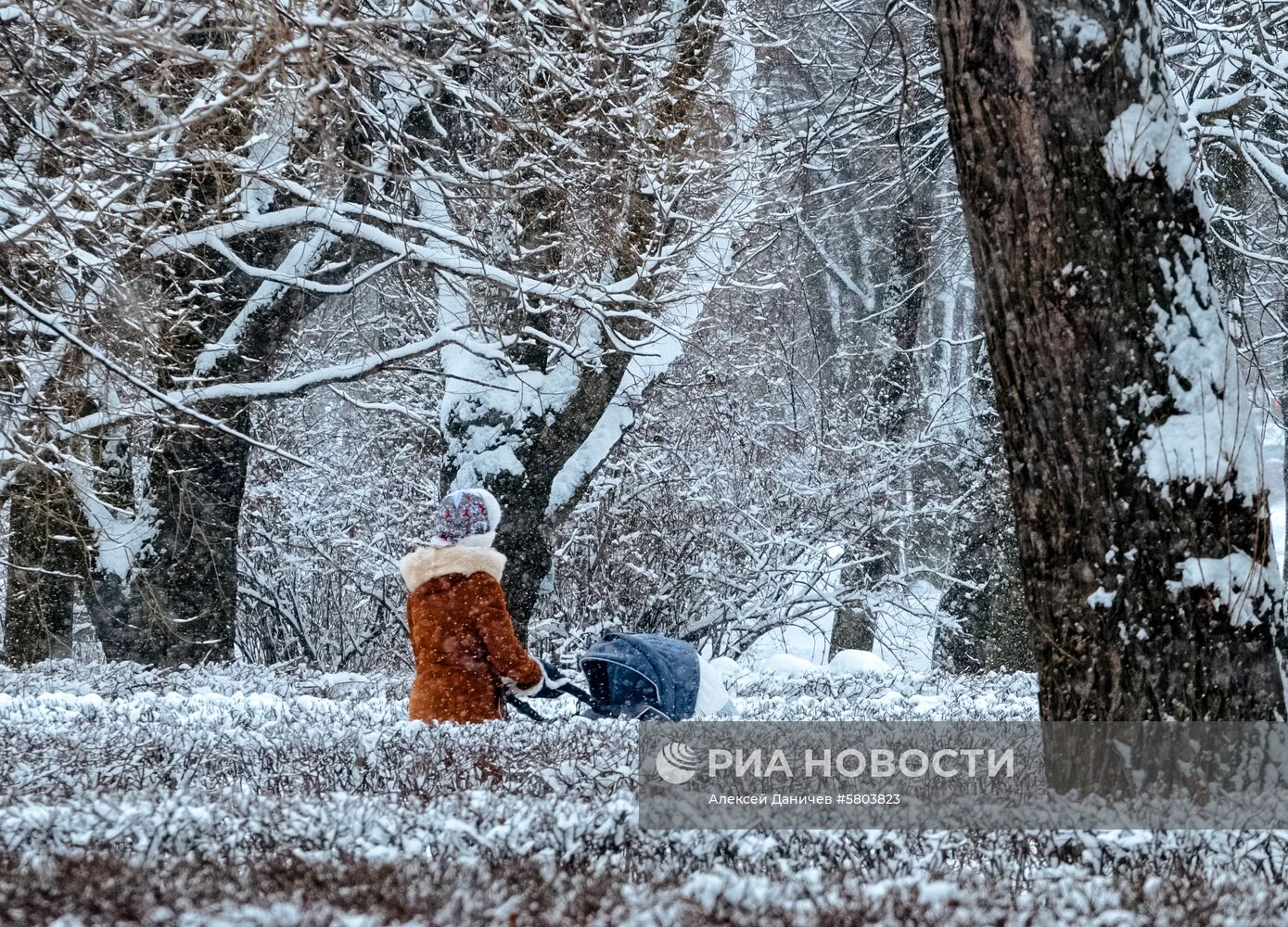 Снегопад в Санкт-Петербурге