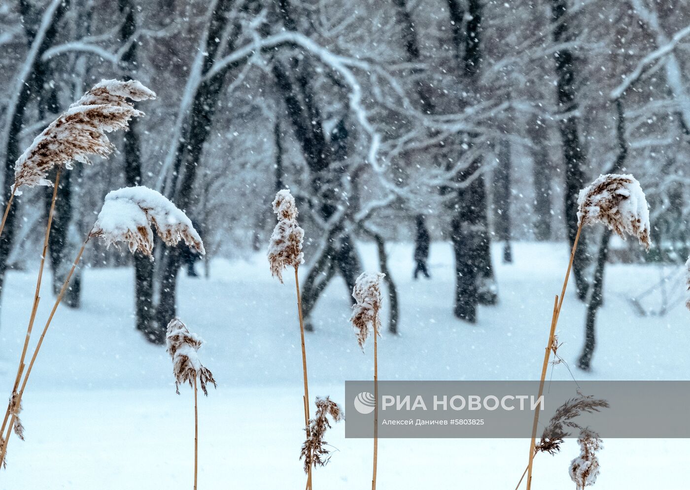 Снегопад в Санкт-Петербурге