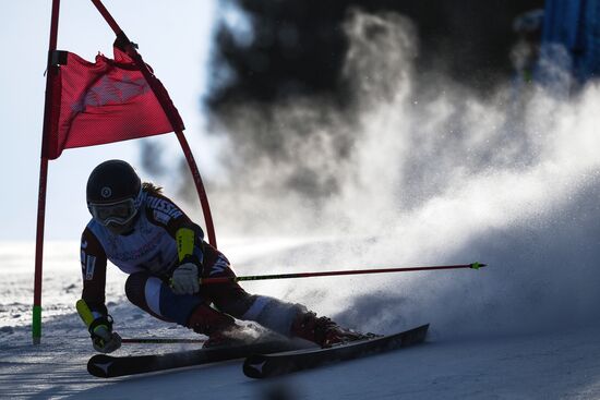 Универсиада-2019. Горнолыжный  спорт. Женщины. Гигантский слалом