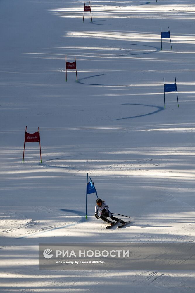 Универсиада-2019. Горнолыжный спорт. Женщины. Гигантский слалом