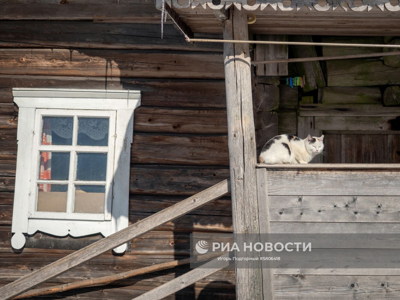 Кошка на крыльце дома