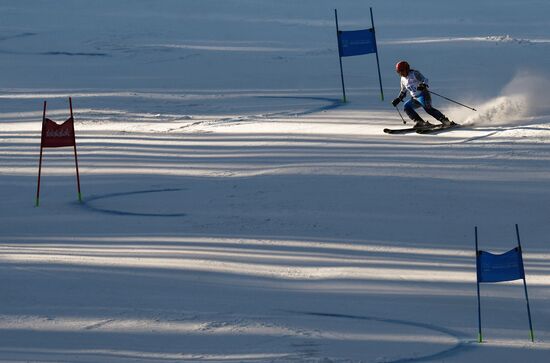 Универсиада-2019. Горнолыжный  спорт. Женщины. Гигантский слалом