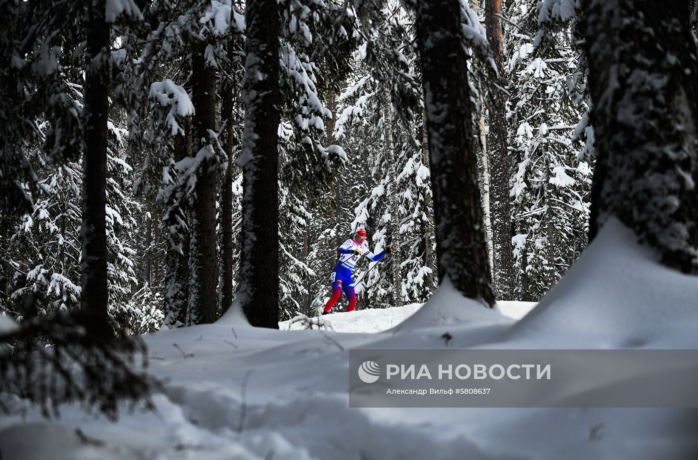 Биатлон. Чемпионат мира. Женщины. Спринт