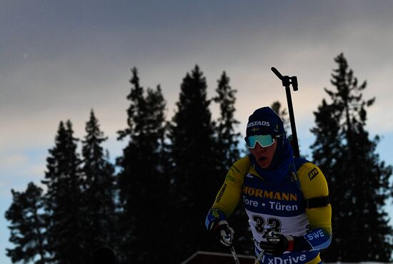 Биатлон. Чемпионат мира. Мужчины. Спринт