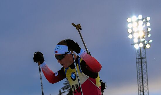 Биатлон. Чемпионат мира. Мужчины. Спринт