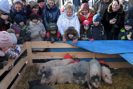 Празднование Масленицы