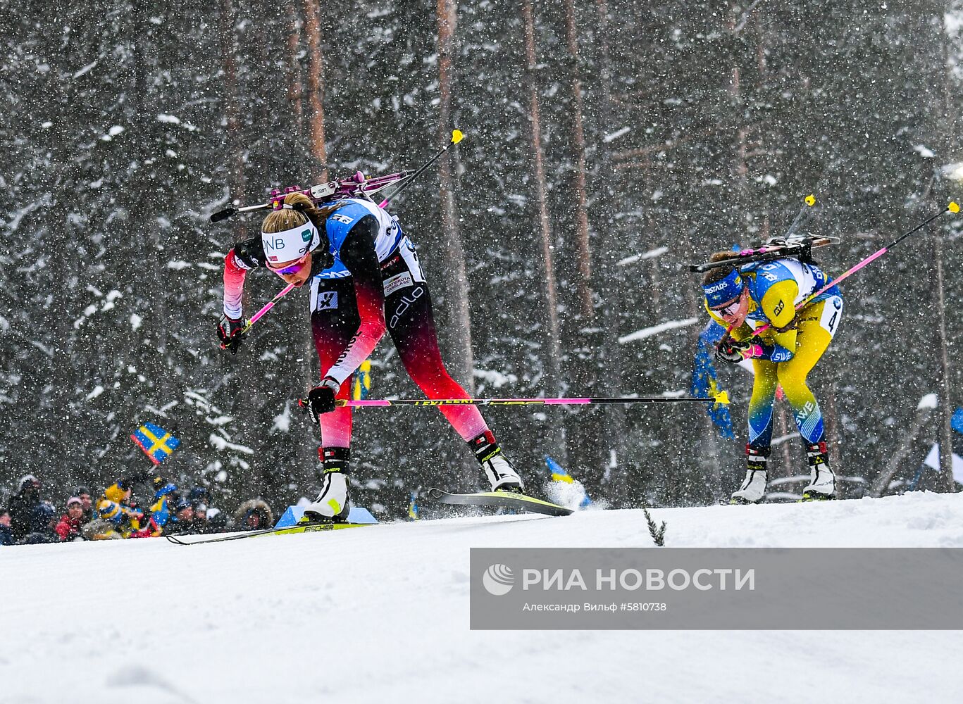 Биатлон. Чемпионат мира. Женщины. Гонка преследования