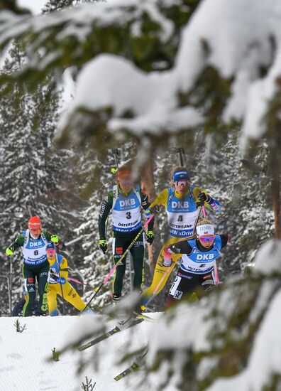 Биатлон. Чемпионат мира. Женщины. Гонка преследования