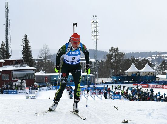 Биатлон. Чемпионат мира. Женщины. Гонка преследования
