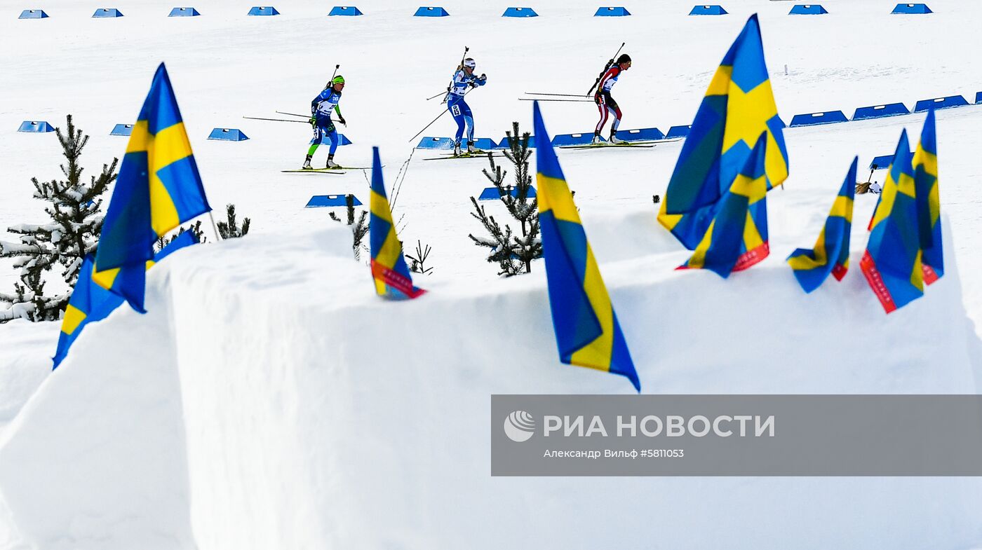 Биатлон. Чемпионат мира. Женщины. Гонка преследования