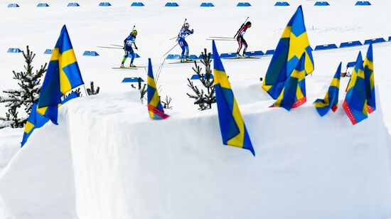 Биатлон. Чемпионат мира. Женщины. Гонка преследования