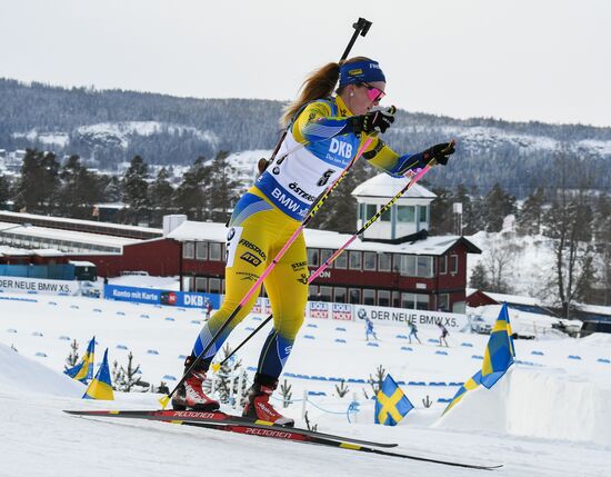 Биатлон. Чемпионат мира. Женщины. Гонка преследования