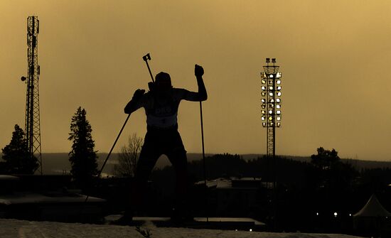 Биатлон. Чемпионат мира. Женщины. Гонка преследования