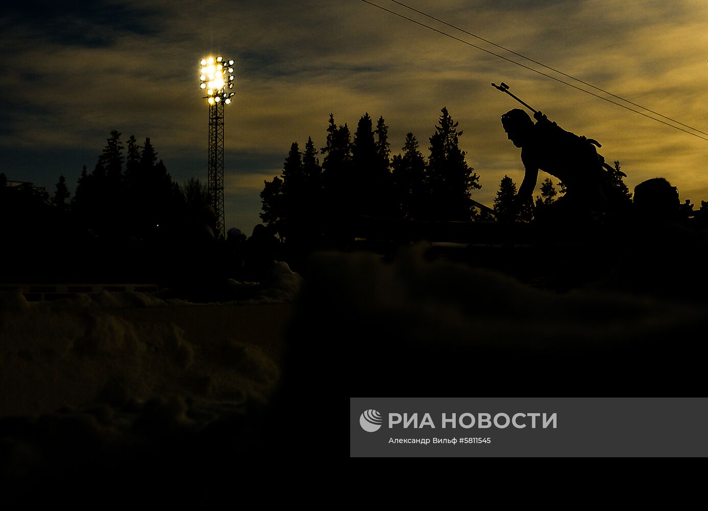 Биатлон. Чемпионат мира. Мужчины. Гонка преследования