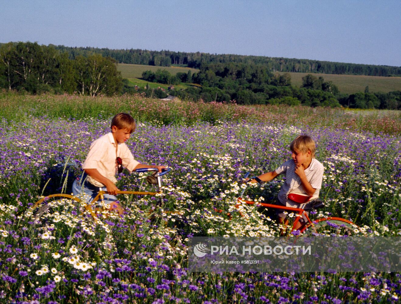 Поле под Прохоровкой