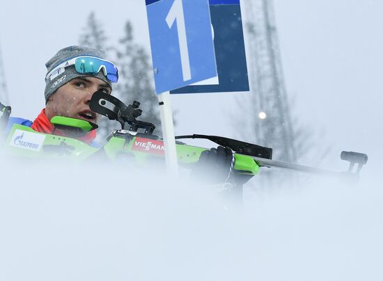 Биатлон. Чемпионат мира. Мужчины. Индивидуальная гонка