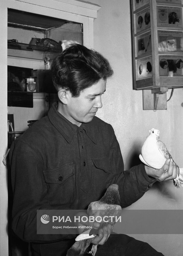 Ветеринарная лечебница "Синий крест"