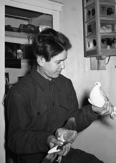 Ветеринарная лечебница "Синий крест"