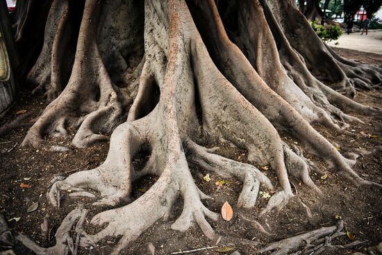 Города мира. Валенсия