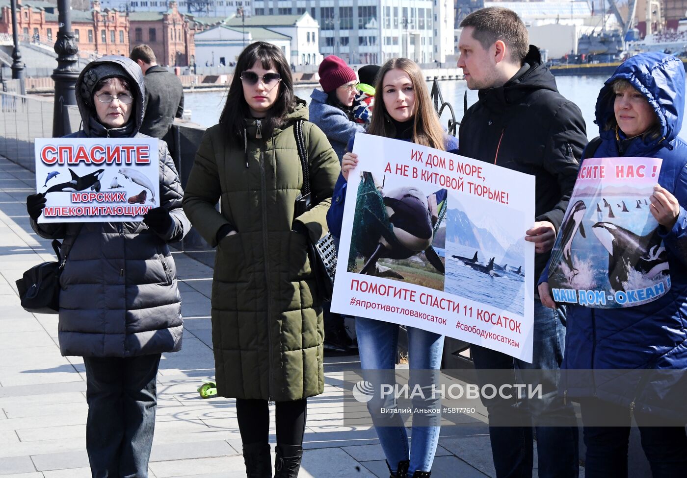 Пикет в защиту приморских белух и косаток