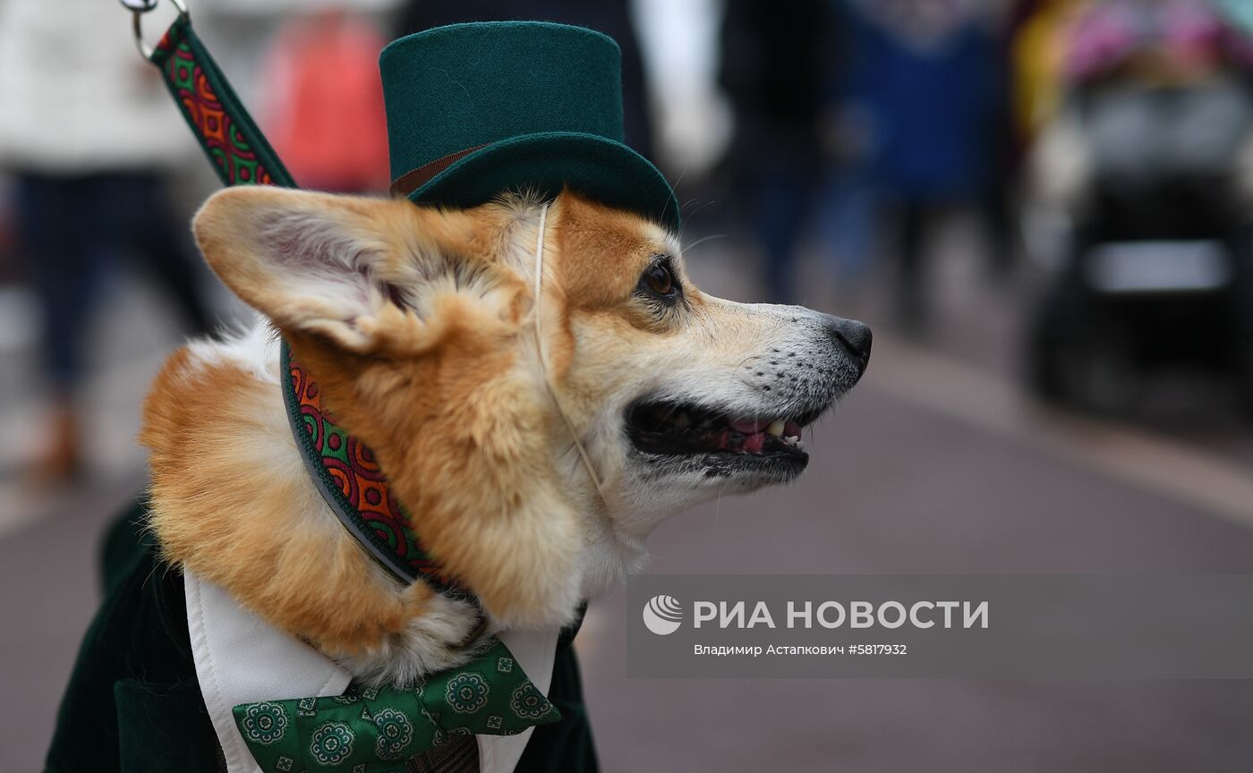 Парад в честь празднования Дня Св. Патрика