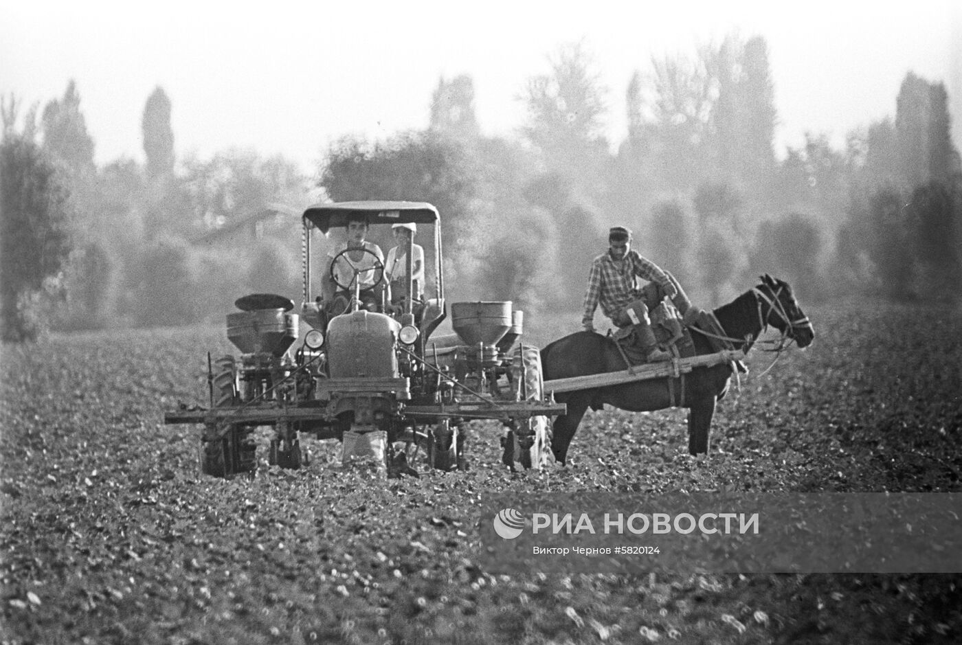 Культивация хлопка в Ферганской долине