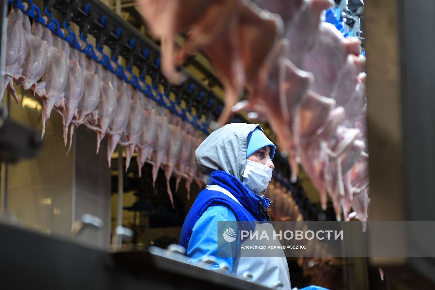 Птицефабрики в Новосибирской области