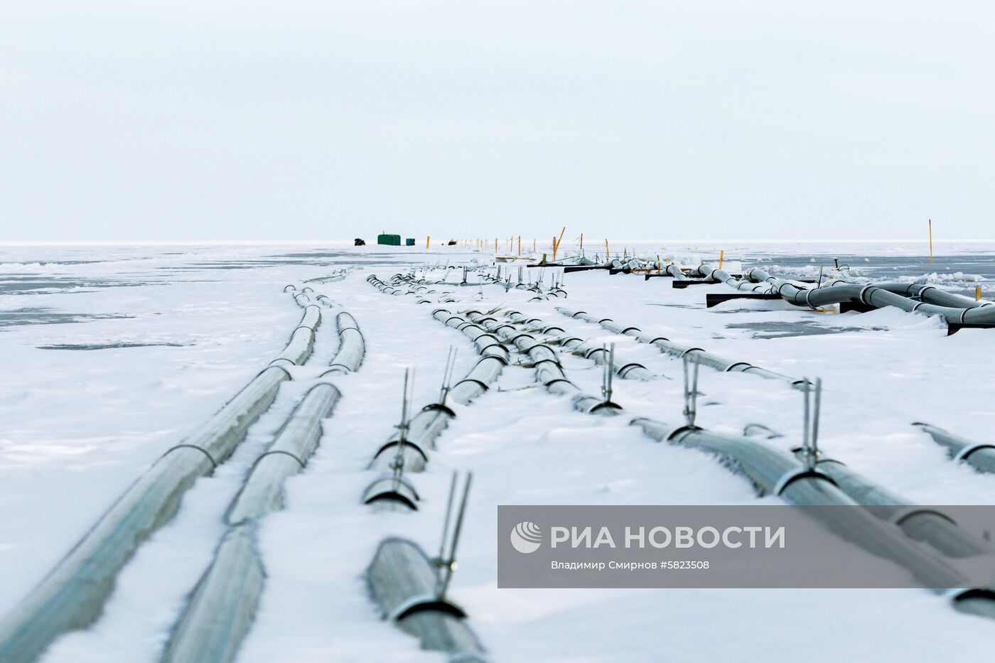 Строительство завода по розливу воды на берегу Байкала приостановлено
