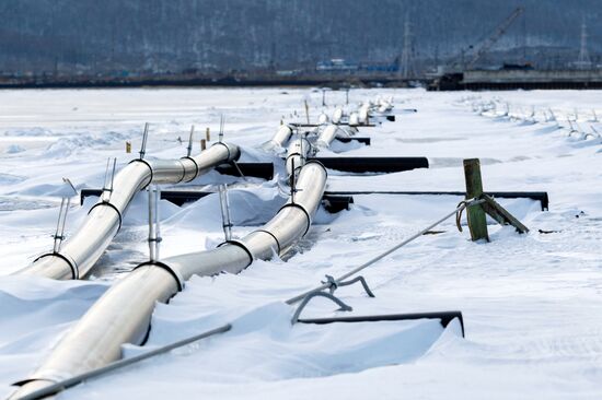 Строительство завода по розливу воды на берегу Байкала приостановлено