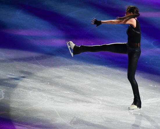 Фигурное катание. Чемпионат мира. Показательные выступления