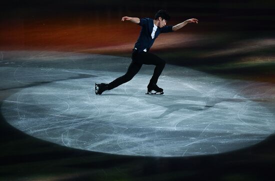 Фигурное катание. Чемпионат мира. Показательные выступления