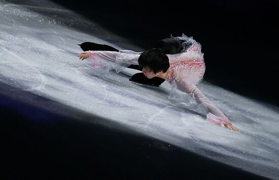 Фигурное катание. Чемпионат мира. Показательные выступления