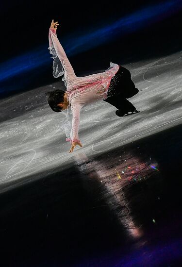 Фигурное катание. Чемпионат мира. Показательные выступления