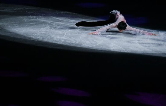 Фигурное катание. Чемпионат мира. Показательные выступления