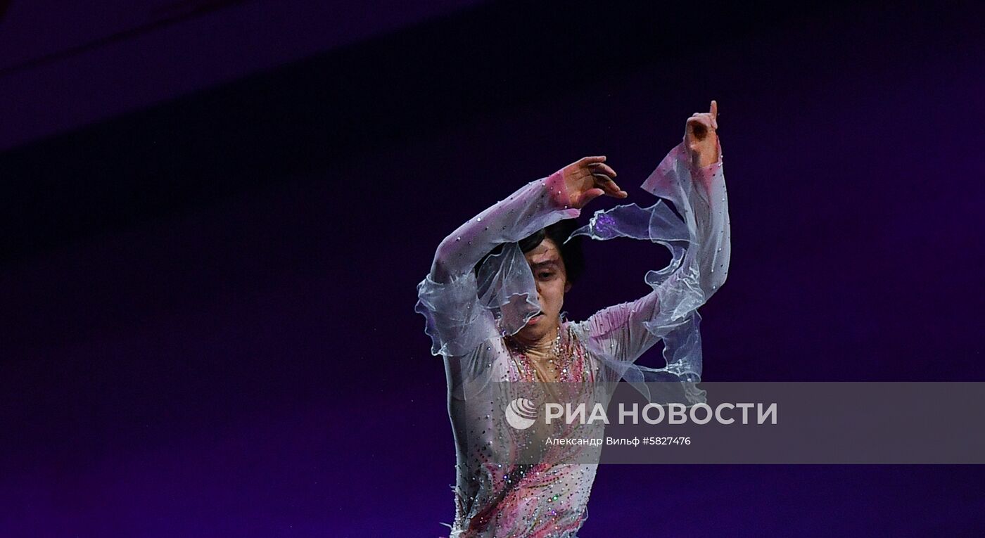 Фигурное катание. Чемпионат мира. Показательные выступления