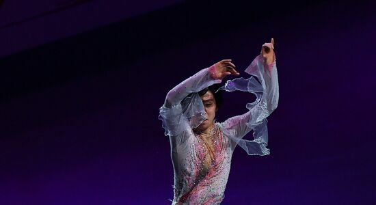 Фигурное катание. Чемпионат мира. Показательные выступления