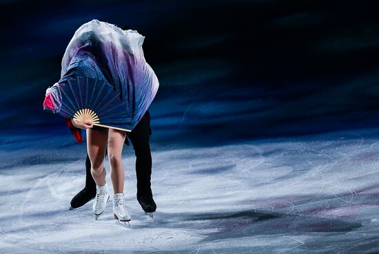 Фигурное катание. Чемпионат мира. Показательные выступления