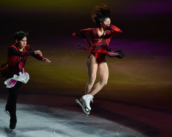 Фигурное катание. Чемпионат мира. Показательные выступления