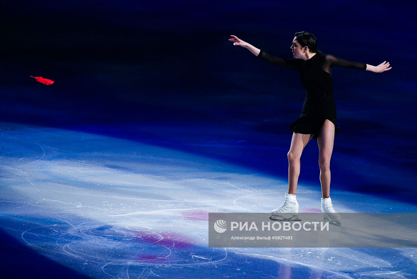 Фигурное катание. Чемпионат мира. Показательные выступления