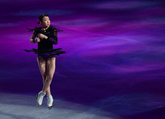 Фигурное катание. Чемпионат мира. Показательные выступления