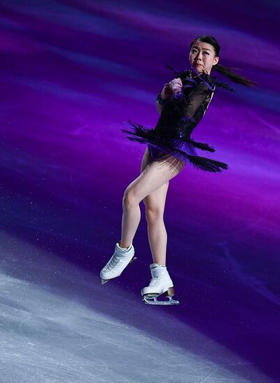 Фигурное катание. Чемпионат мира. Показательные выступления