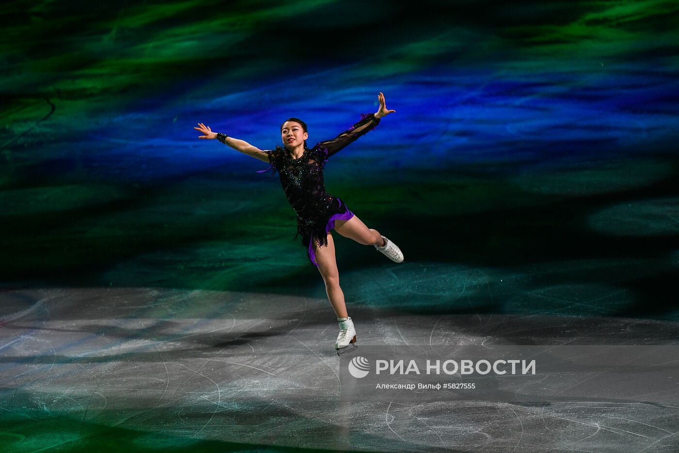 Фигурное катание. Чемпионат мира. Показательные выступления