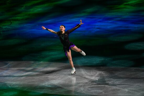 Фигурное катание. Чемпионат мира. Показательные выступления