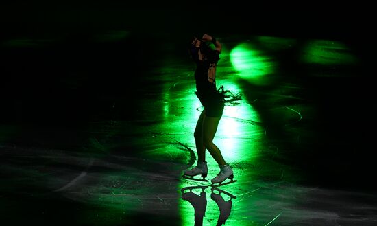 Фигурное катание. Чемпионат мира. Показательные выступления