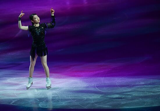 Фигурное катание. Чемпионат мира. Показательные выступления